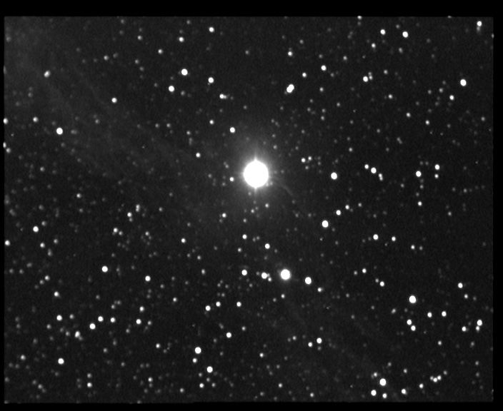 ngc6960 NGC 6960 'Les Dentelles du Cygne' - Nbuleuse diffuse - Cygne - Mag.10 - Dim.80'x8'<br>
19/05/04 - Le Champ du Feu (67)<br>
N11 f/3.3 altaz + Watec 120N + VCE 15x10s<br> 
IRIS : opt3, rregister, add3<br>