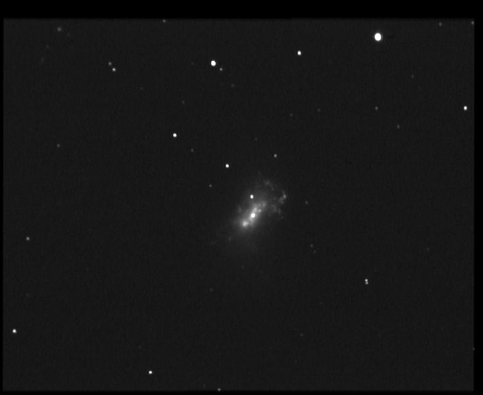 ngc4449 NGC 4449 - Galaxie IBm - Chiens de Chasse - Mag.9,6 - Dim.5,5'x4,1'<br>
05/06/04 - St Michel Observatoire (04) - FWHM=6