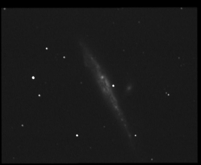 ngc4631 NGC 4631 - Galaxie spirale - Chiens de Chasse - Mag.9,7 - Dim.12'x1,5'<br>
05/06/04 - St Michel Observatoire (04) - FWHM=8