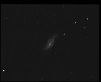 ngc4088 NGC 4088 - Galaxie SAB - Grande Ourse - Mag.10,6 - Dim.5,4'x2,1'