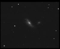 ngc4490 NGC 4490 - Galaxie SB - Chiens de Chasse - Mag.9,8 - Dim.6,4'x3,3'