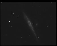 ngc4631 NGC 4631 - Galaxie spirale - Chiens de Chasse - Mag.9,7 - Dim.12'x1,5'
