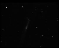 ngc4656 NGC 4656 - Galaxie irrgulire - Chiens de Chasse - Mag.10,7 - Dim.20'x2'