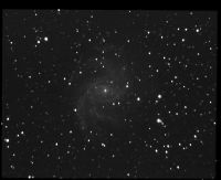 ngc6946 NGC 6946 - Galaxie spirale - Cphe - Mag.8,8 - Dim.12'x9'