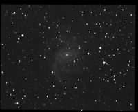 ngc6946 NGC 6946 - Galaxie spirale - Cphe - Mag.8,8 - Dim.12'x9'