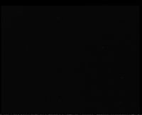 dark 